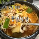 풍년식당 | 속초 아침식사 맛집 풍년식당 후기 | 시원한 오징어해장국 찐맛집