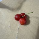 배티농장 이미지