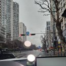 올리데이 | [내돈내산] 루플 올리 데이&amp;나이트 개봉 및 사용 후기(ft. 라이트테라피/ 세로토닌과 멜라토닌/차에서도...