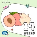 바로코의원 | [임신13,14,15주] 호르몬의 노예 서러운 나날들😭 입덧피크, 태동조짐. 배크기. 태교모델 정하기!