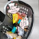 도우너 | 포르투 마트 장보기 추천｜마트 구경 좋아 인간의 털이템 리스트