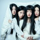 이끌림 이미지