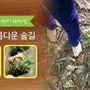 아름다운 도시락 이미지