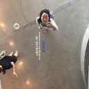 (주)핑크로더 이미지