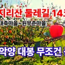 지리산둘레길 대축마을 원부춘마을 14구간코스 악양대봉 무조건 꽁짜 지금오세요 이미지