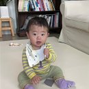 리코코 - 시흥시 매화2로 12-1 | 머리 부딪힌 후 바꾼 아기 매트 리코코 원피스 매트 후기