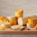 하루치즈 이미지