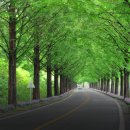 순창10경 이미지