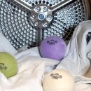 메이트라이프 이미지