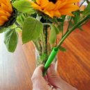 빨대소리 이미지