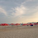 부산역 플랫폼 | 부산 렌터카 여행 부산역 쏘카 이용 후기