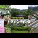 비실연꽃마을 이미지