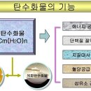 한국인 영양섭취 기준 ( 2 ) - 탄수화물 이미지