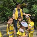 세인어린이집 이미지