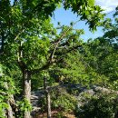 08/15, Reeves Meadow Visitor Center,NY 이미지