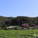 화완옹주 및 정치달 묘 이미지