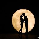 미디어아트<오로라를 이미지