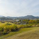 함안 말이산고분군 이미지