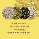 곡물강정