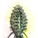 개미목장 이미지