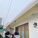 강릉 옥수수푸딩맛집 꾸옥/줄서는 크림빵 맛집 강릉빵다방