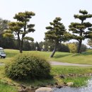 오라사우나 이미지