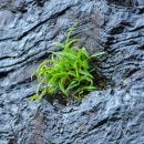 방주환경자원 이미지