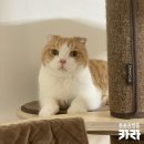 볼트