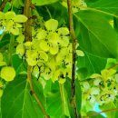 스테이 서종 이미지