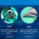 마린파크 이미지