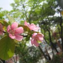 수정탕 이미지