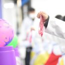 푸른태권도 이미지