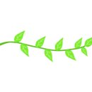 알로하 청송 이미지