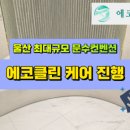 에코클린 침대소파카페트 울산본점 이미지