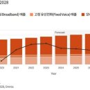 삼일 이미지