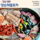 진주 초전동 맛집 해산물 술집 양손해물포차