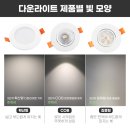 다운라이트
