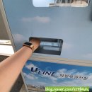 베니슈유통 네이버블로그