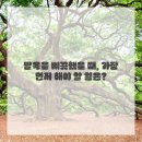 이제한의원 이미지