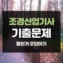 사직유로폼 | 조경산업기사 필기 기출문제 정리해봤다