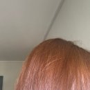 올리브 바닐라 | 올리브영 프레쉬라이트 바닐라베이지 셀프염색 내돈내산 후기