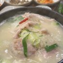 동백삼계탕 | 해운대 마린시티 삼계탕 맛집 오렌지상가 동백삼계탕 내돈내산 솔직후기