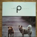 퍼피커뮤니케이션 이미지