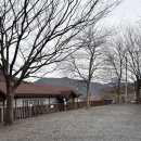 청도 그린나래 오토캠핑장 | 송원리 가족 캠핑장 추천 동물농장, 레일썰매