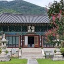 상주 남장사 목조아미타여래삼존좌상 이미지