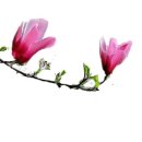 원공인중개사사무소 이미지