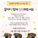 🐾 6남매 아이들 2차 모금 보고 이미지