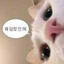 경기도 수원시 팔달구 경수대로446번길 이미지