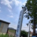 올리비아델리 | [내돈내산] 올리비아델리_패밀리레스토랑 방문 후기