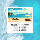 지중해 이미지